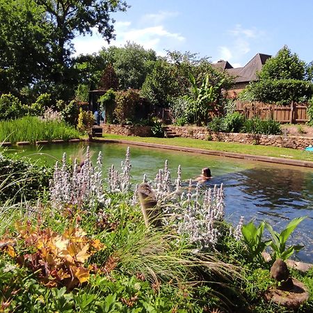 Maison De Charme, Piscine Naturelle Dordogne Perigord Prats-du-Périgord Kültér fotó